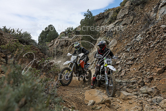 IMG_7486-244-429