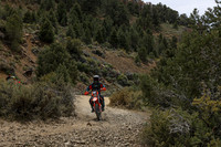 IMG_8628-65