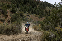 IMG_8632-271