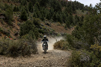 IMG_8624-247