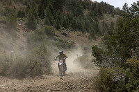 IMG_8639-806