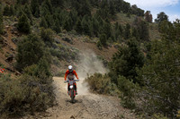 IMG_8645-356