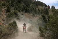 IMG_8655-323
