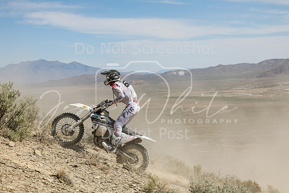 IMG_3126-x660