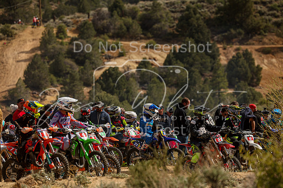 IMG_2966-