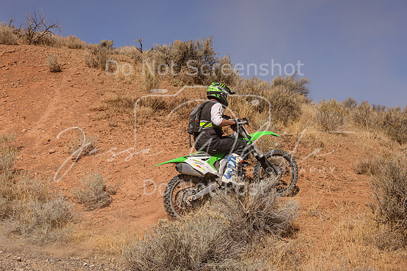 IMG_3024-315n