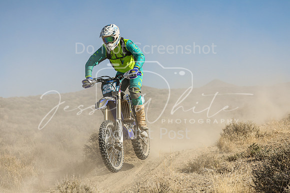 IMG_7641-354t
