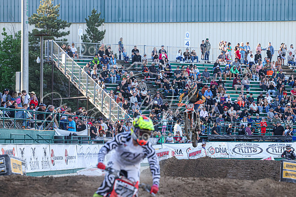 IMG_5469