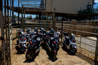 IMG_R5-4203