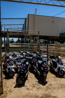 IMG_R5-4205