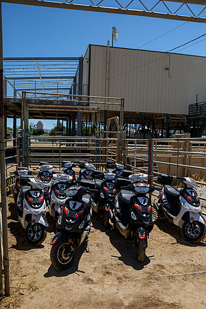 IMG_R5-4205