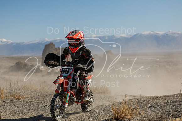 IMG_5498-80e