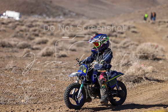 IMG_8638-308z