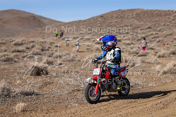 IMG_8642-208z