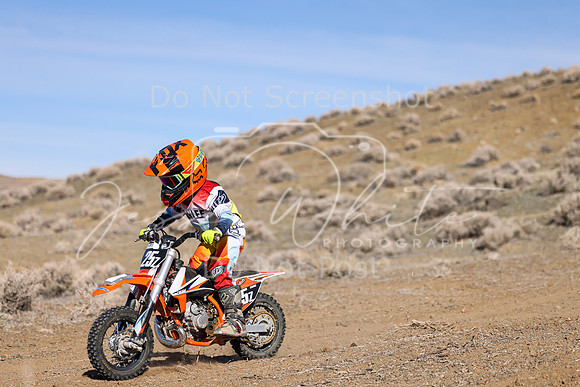 IMG_8744-25z
