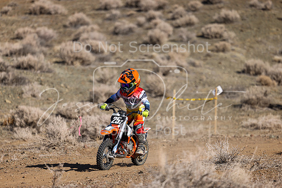 IMG_8741-25z