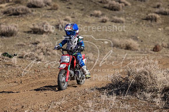 IMG_8749-208z