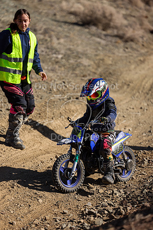 IMG_8766-308z