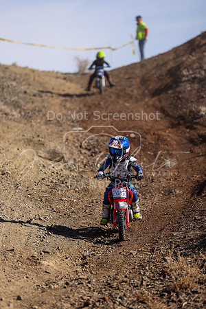IMG_8813-208z