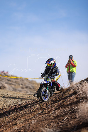 IMG_8837-308z