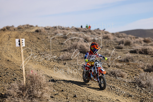 IMG_8906-25z