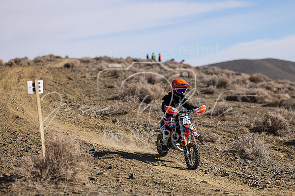 IMG_8903-65z