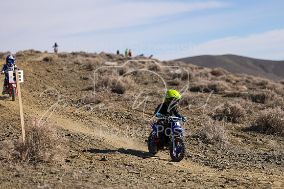 IMG_8909-207z