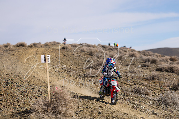 IMG_8910-208z
