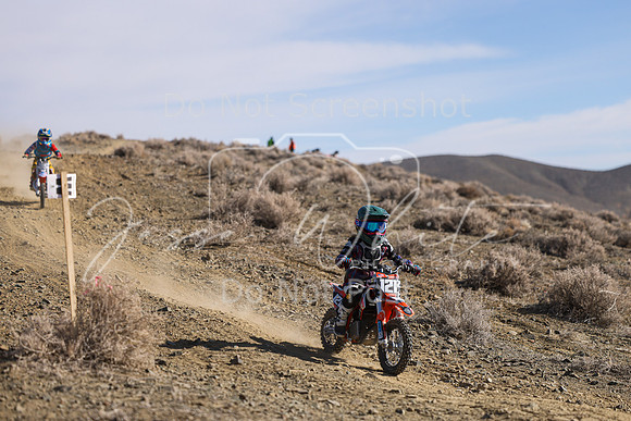 IMG_8913-121z