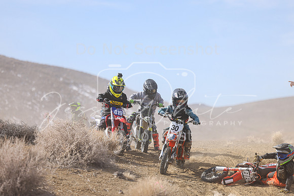 IMG_8973-30