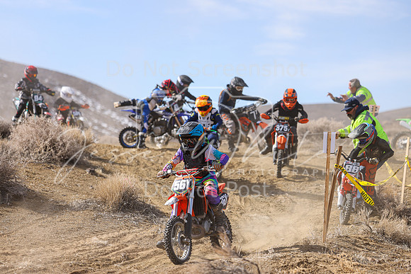IMG_9010-56y