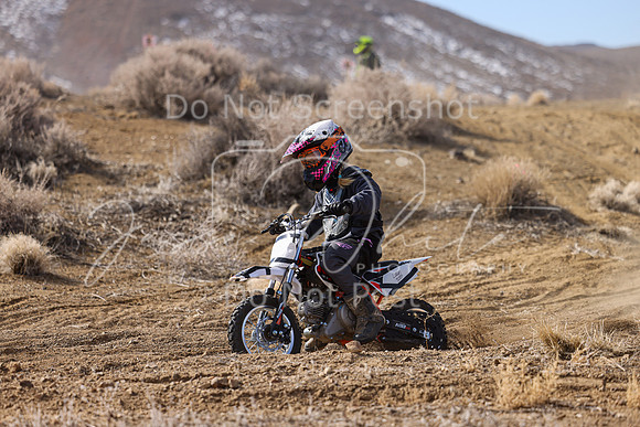 IMG_9048-721f