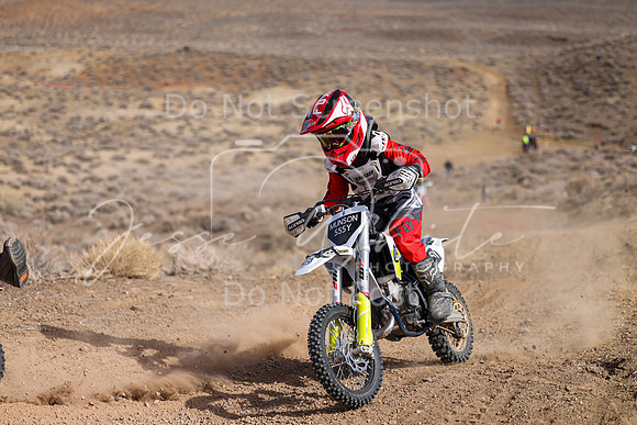 IMG_9135-555y