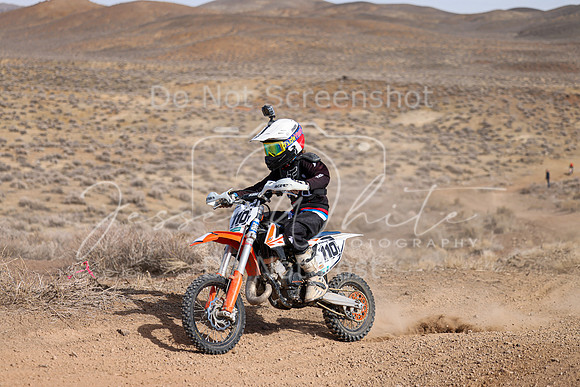 IMG_9140-110y