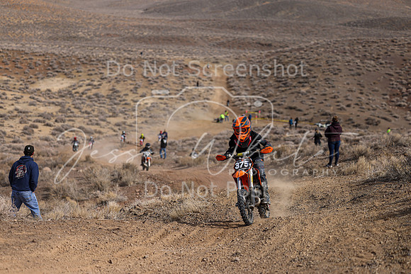 IMG_9163-375y