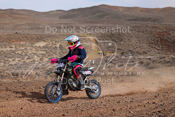 IMG_9221-802y