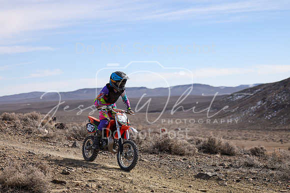 IMG_9271-56y