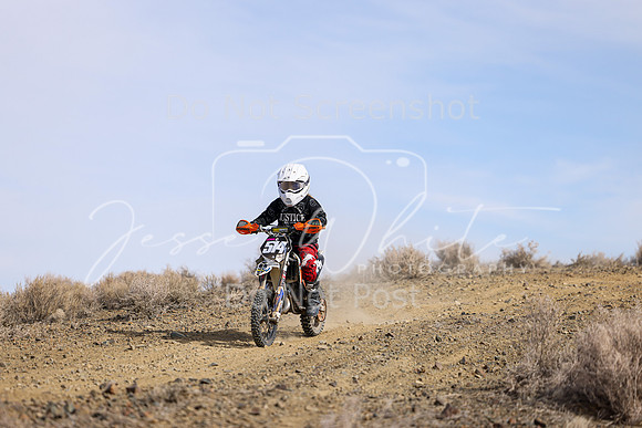 IMG_9315-514y
