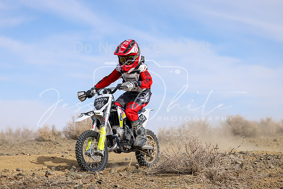 IMG_9322-555y