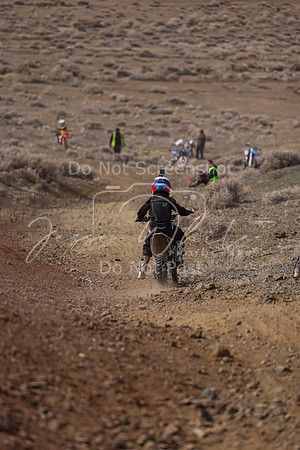 IMG_9341-110y
