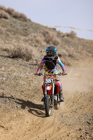IMG_9404-56y