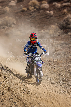 IMG_9444-411y