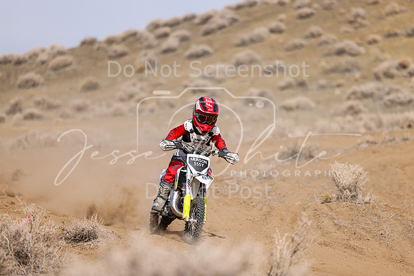 IMG_9474-555y