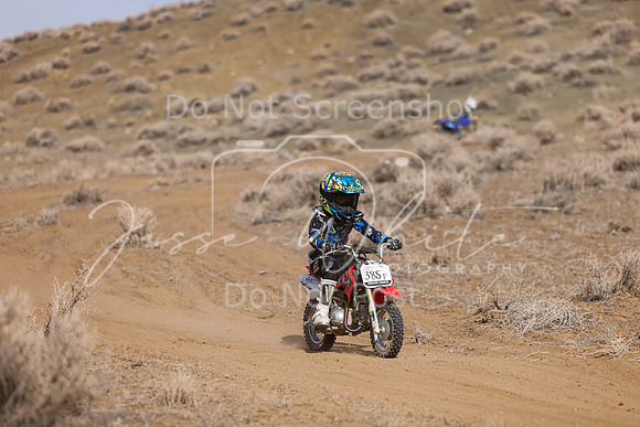 IMG_9482-385y