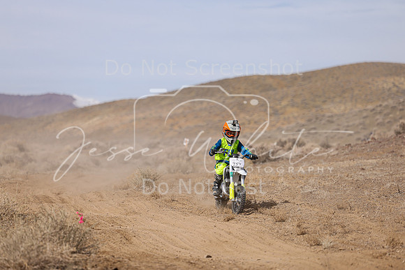 IMG_9505-954