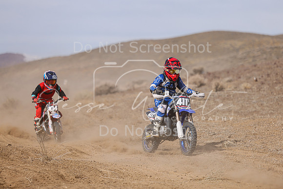 IMG_9529-411y