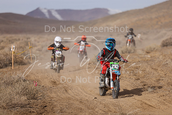 IMG_9542-210y