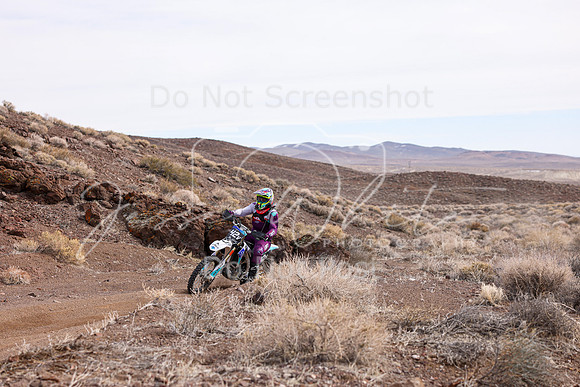 IMG_0099-42v