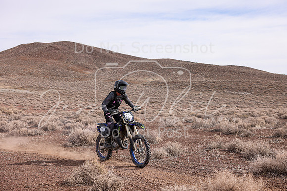 IMG_0246-55v