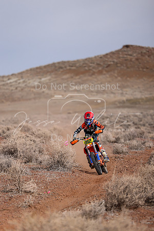 IMG_0362-812j